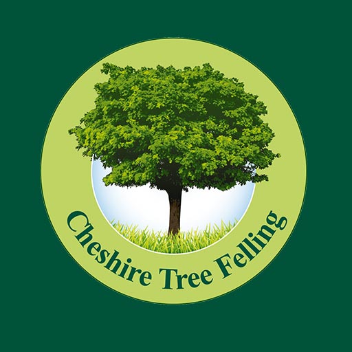 Cheshire Tree Felling